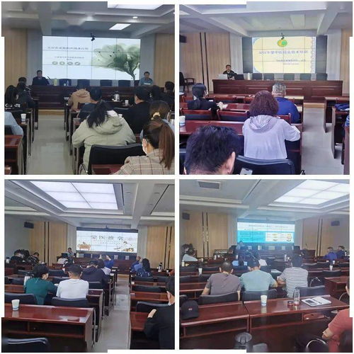 烏拉特后旗衛(wèi)健委舉辦蒙中醫(yī)適宜技術(shù)培訓班 推進技術(shù)推廣服務